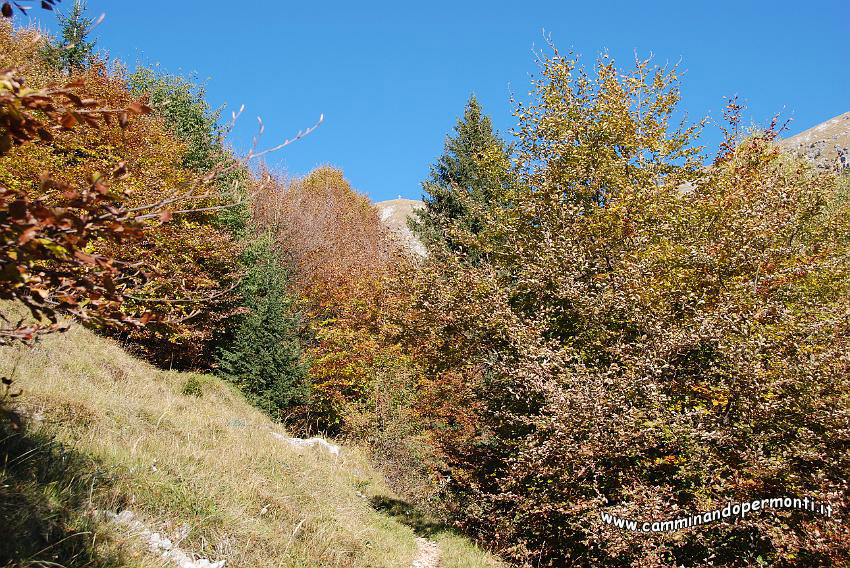 09 12581.JPG